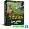 Curso Educanino – Álvaro Osorio