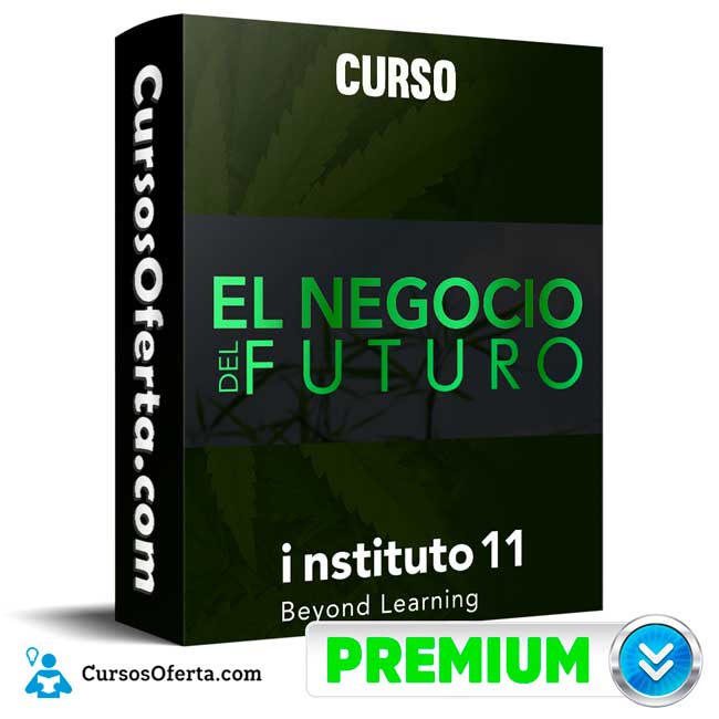Curso El negocio del futuro - Instituto 11