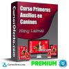 Primeros Auxilios en Caninos – Nany Lesmes