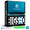 Curso de WordPress de Big Seo