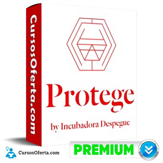 Programa de Certificaciones Protege de Incubadora Despegue