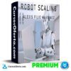 Robot Scaling de Alexis Filio Martinez