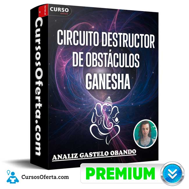 Circuito destructor de obstáculos Mesa Ganesha de Analiz Gastelo Obando