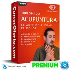 Diplomado Acupuntura el Arte de Aliviar el Dolor de Holoacademia