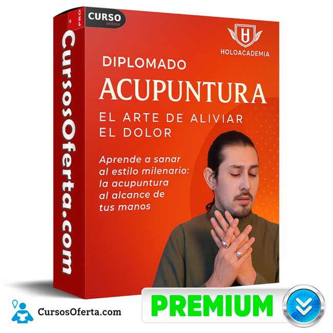 Diplomado Acupuntura el Arte de Aliviar el Dolor de Holoacademia