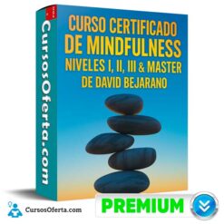 Curso Certificado de Midfulness. Niveles I, II, III & Master de David Bejarano
