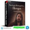 Patología Biomagnética - Hongos de Alejandro Lavin